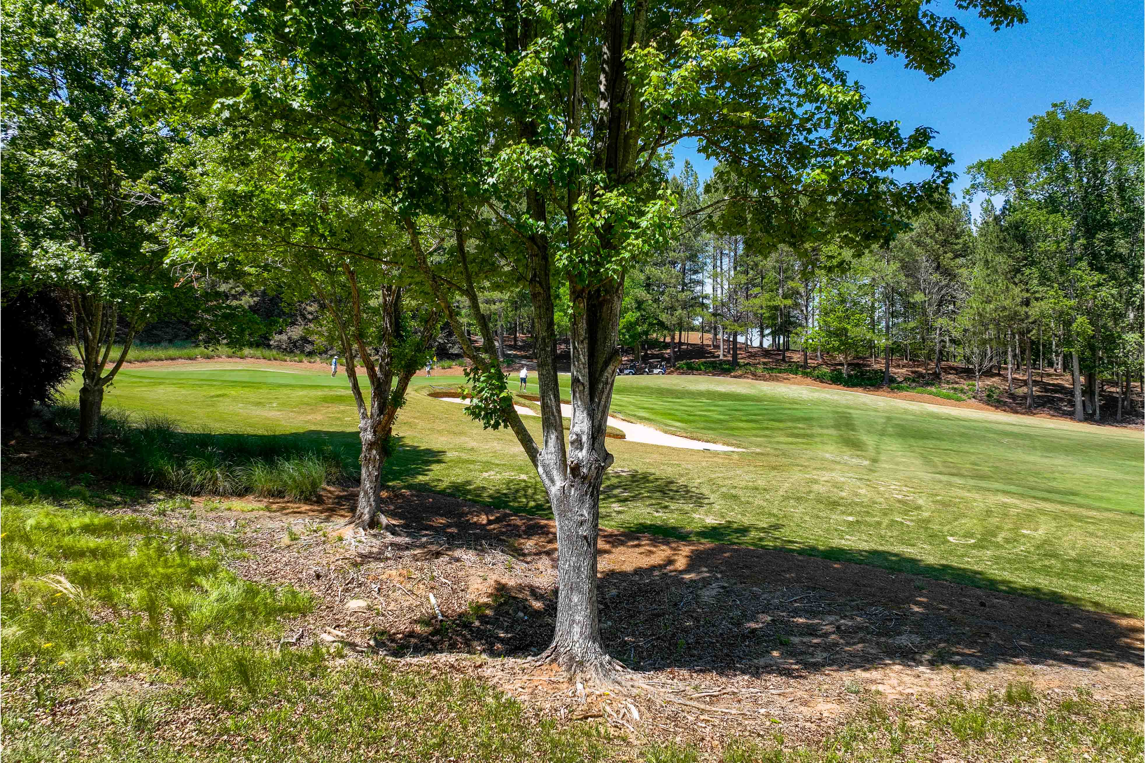 1000 Curtright Place image 8